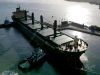 aquarius bulkers vessels mv omara 01 3426b428